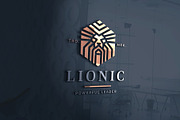 Lionic Lion Head Logo, a Branding & Logo Template by Design_Planet (Thumbnail 2 of 7)