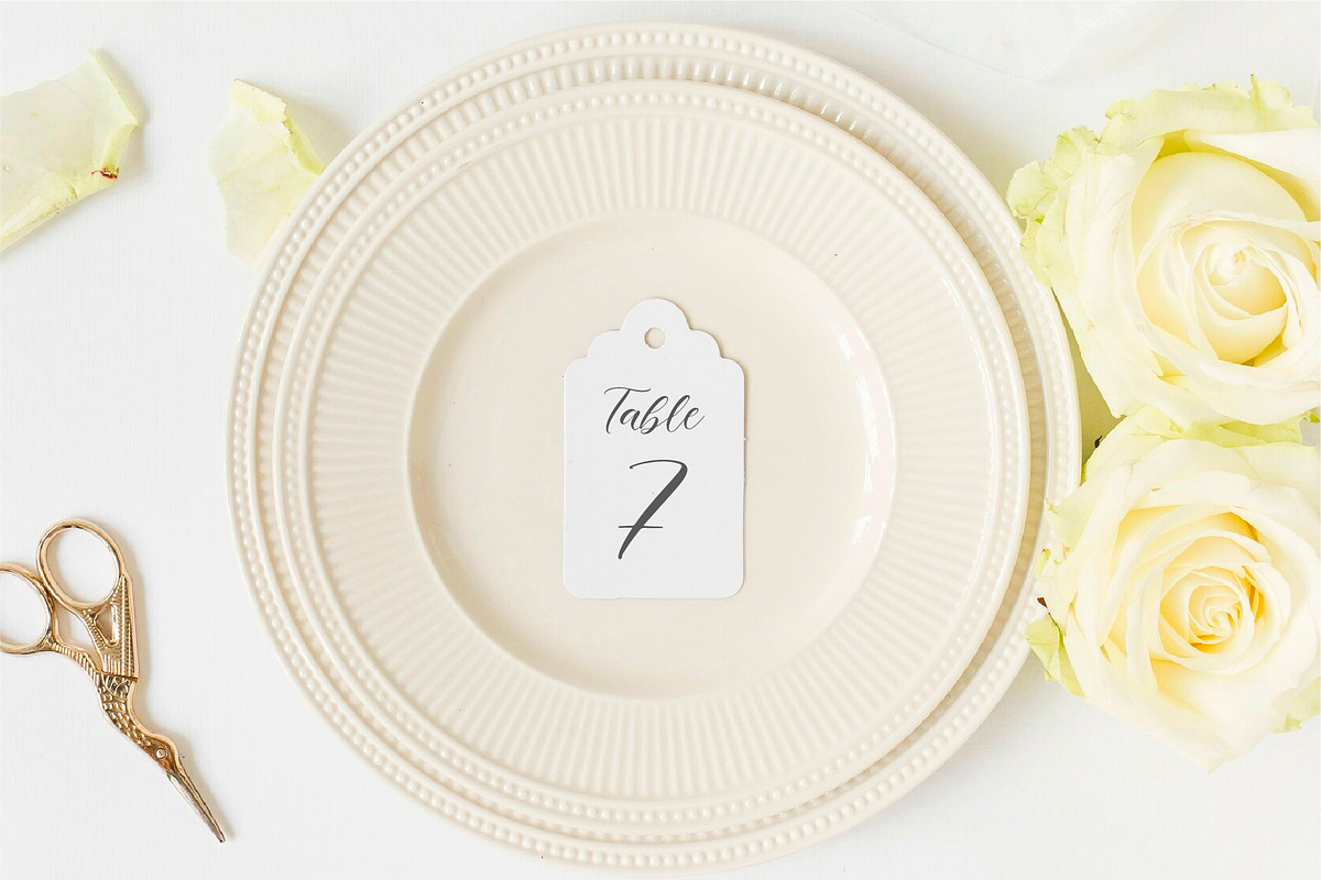Ellie Mona | Handwritten Script, a Script Font by StoricType (Photo 13 of 14)