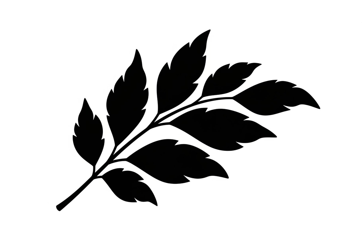 Botanical Leaf Silhouette Bundle, an Illustration by yasushie (Photo 20 of 51)
