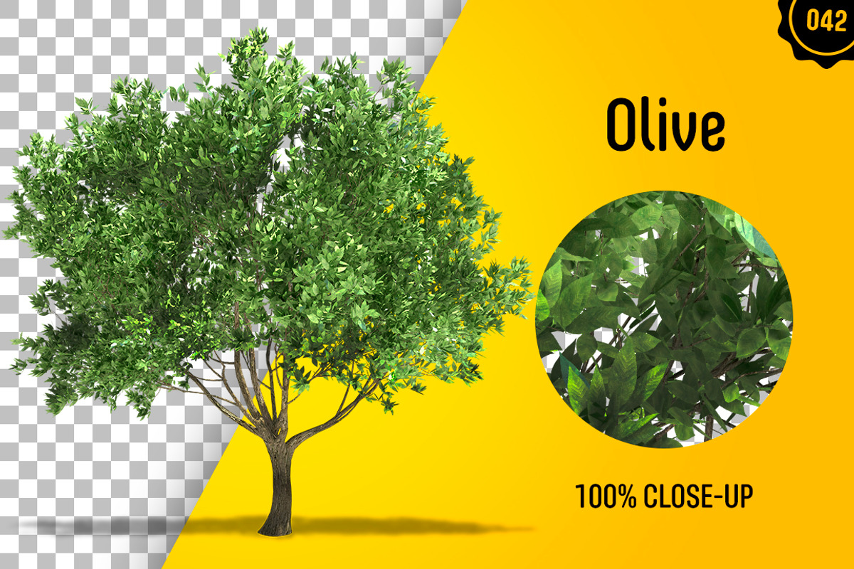 CUT OUT TREES - 60 PCS BUNDLE, a Packaging Mockup by 3DSTORE (Photo 43 of 63)
