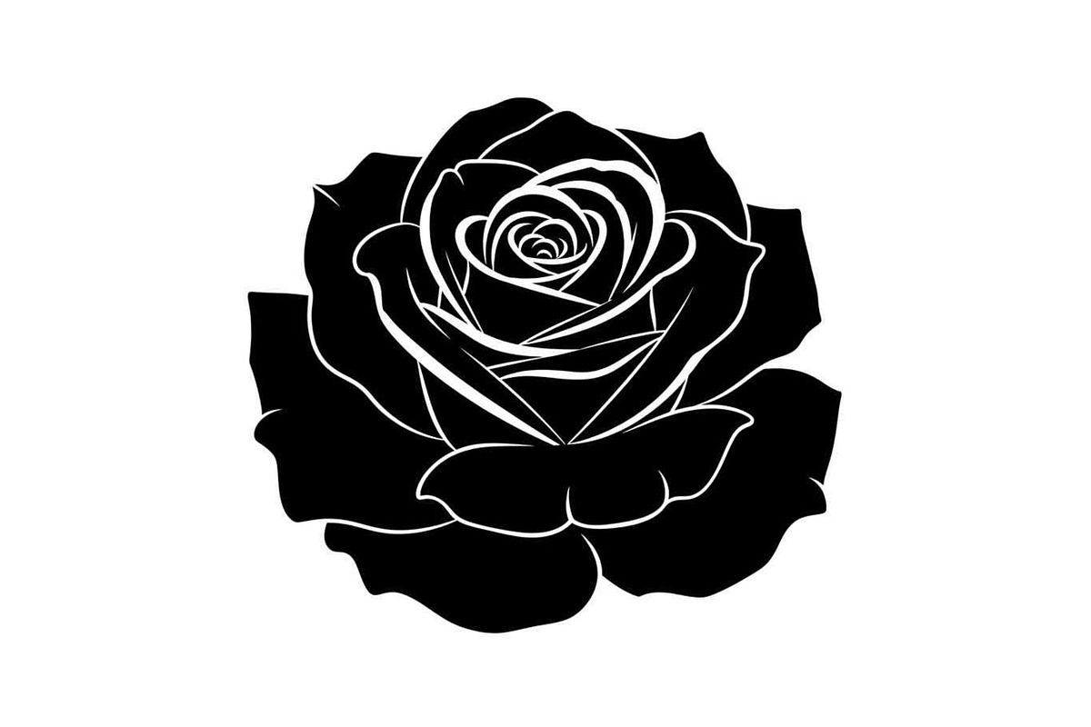 50 Black Rose Silhouette Vector Bund, an Illustration by Gaye Art (Photo 35 of 51)