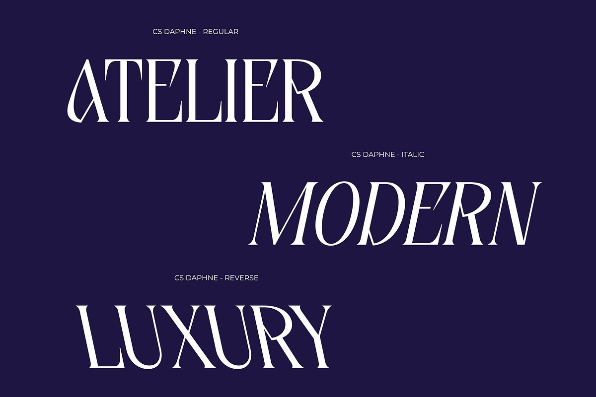 CS Daphne – Contemporary Font, a Serif Font by Craft Supply Co. (Photo 3 of 8)
