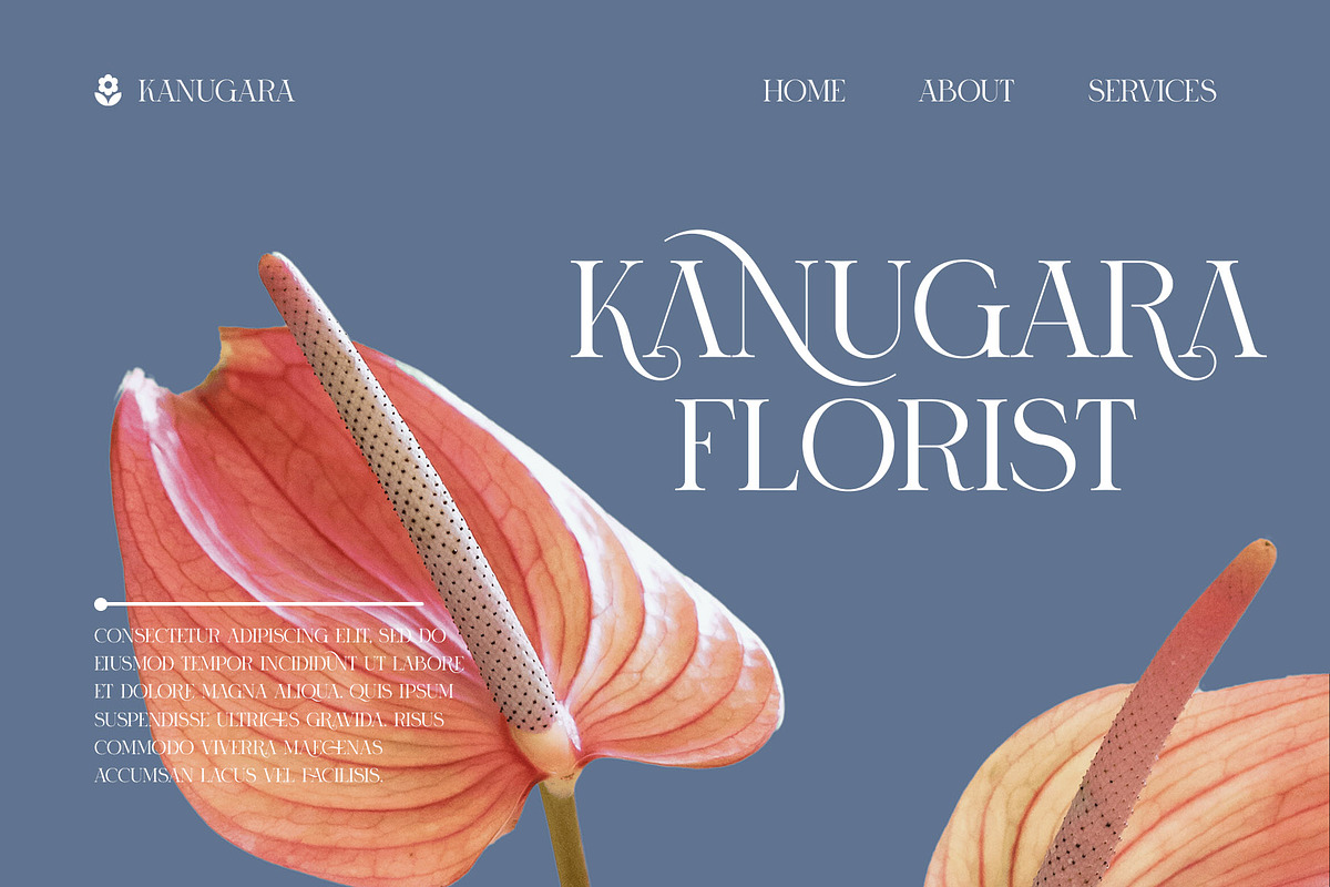 RONICA Modern Display Serif, a Serif Font by Alfinart (Photo 2 of 10)