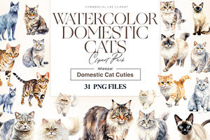 Watercolor Cats Clipart, Cat Breeds, an Animal Illustration by BrushstrokeArtGB