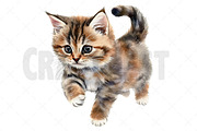 Watercolor Cat Clipart, an Illustration by Craft Nest (Thumbnail 9 of 12)