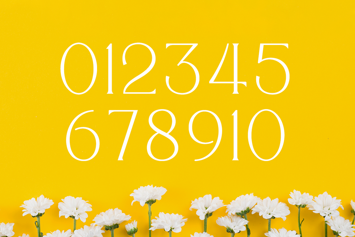Quisking - Display Serif Font, a Font by RockboyStd (Photo 11 of 12)