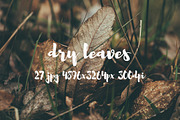 Dry leaves, a Templates & Theme by ApertureVintage (Thumbnail 14 of 16)