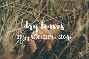 Dry leaves, a Templates & Theme by ApertureVintage (Thumbnail 10 of 16)