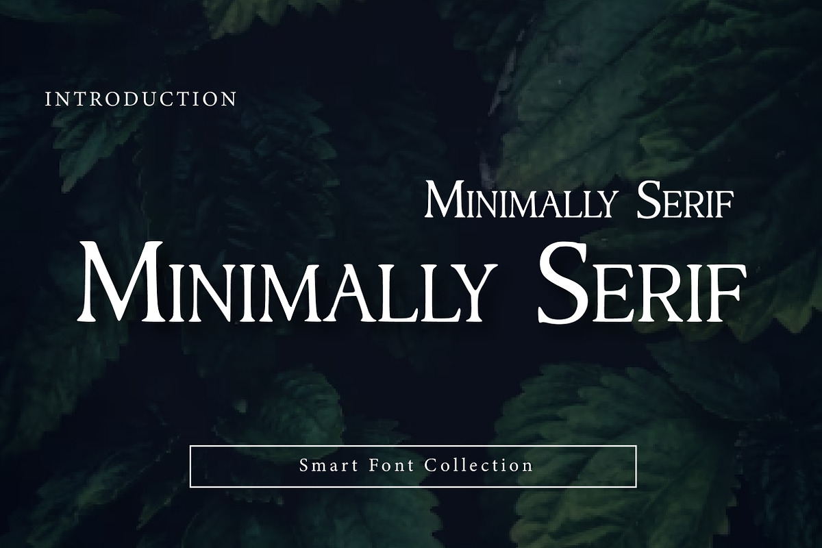 Minimally Serif, a Serif Font by Wow Magic (Photo 1 of 3)