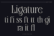 Rose - Modern Serif Font, a Serif Font by Luna Shop (Thumbnail 6 of 10)