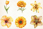 Watercolor Golden Flowers Clipart, an Illustration by Rose Art (Thumbnail 5 of 7)