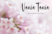 sasa, a Script Font by N (Thumbnail 2 of 10)