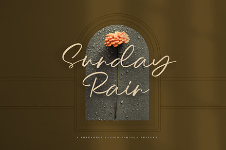 Sunday Rain - Script