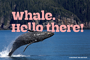 Riverbend, a Slab Serif Font by Xelo Graph (Thumbnail 2 of 7)