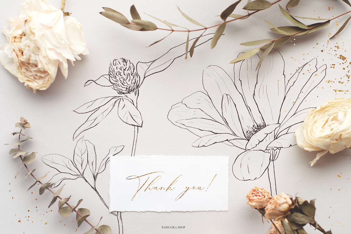 Wildflowers-Pencil sketch collection, a Decorative Illustration by Pamyatka Shop (Photo 12 of 13)