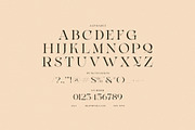 Mecro Elegant Serif Font, a Serif Font by Graphicxell (Thumbnail 7 of 8)