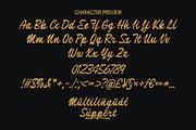 Selmith | Bold Signature, a Script Font by Lemonthe (Thumbnail 9 of 9)