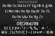 Special Winter, a Script Font by FreshTypeINK (Thumbnail 7 of 8)