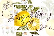 Lemon in botanical style, a Food Illustration by Ann Astro (Thumbnail 1 of 9)