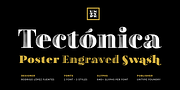 Tectónica, a Serif Font by Untype (Thumbnail 1 of 14)