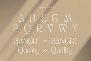 Wordmark - Display Logo Font, a Sans Serif Font by Hamz Studio (Thumbnail 14 of 15)