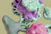 Abstract Organic 3D Shapes, a Decorative Illustration by StockVerse Creative (Thumbnail 3 of 4)