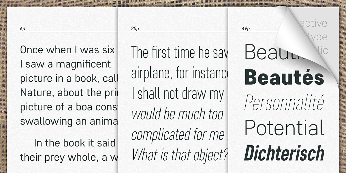 Core Sans D, a Sans Serif Font by S-Core (Photo 4 of 6)