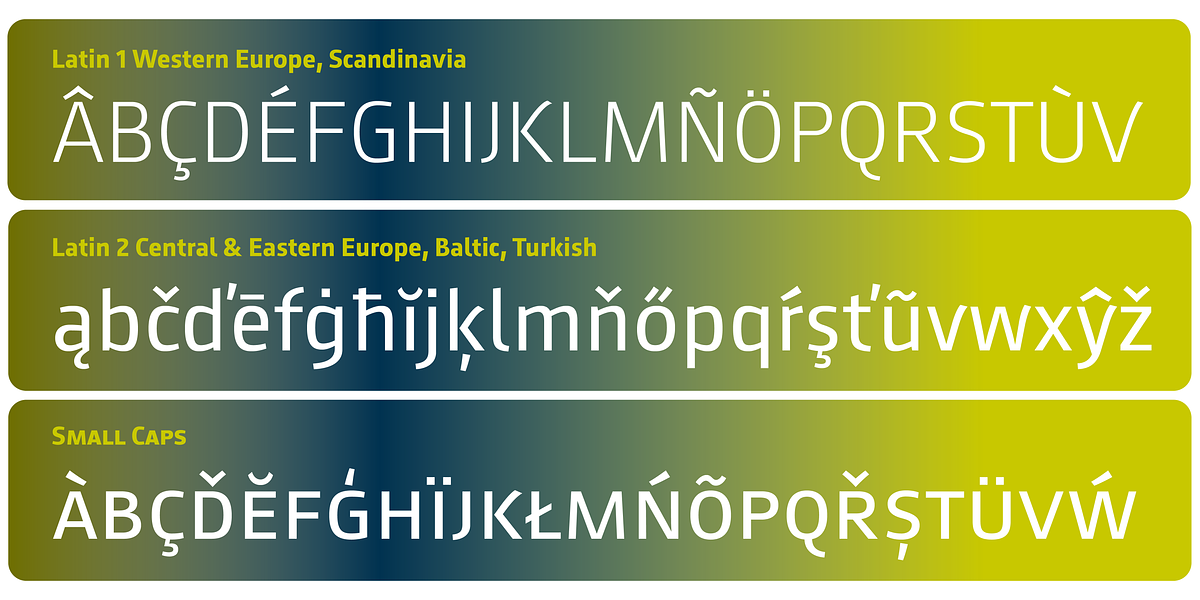 August Sans Pro, a Sans Serif Font by ingoFonts (Photo 7 of 9)