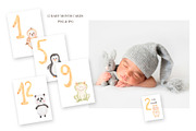 Watercolor Animal Numbers Set, an Animal Illustration by MayaNavits (Thumbnail 4 of 8)