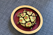 DIY Turtle Laser Cut File Craft Deco, an Object Illustration by Bubert Art (Thumbnail 9 of 9)