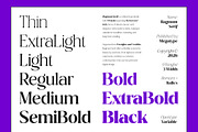 Ragmont Serif, a Serif Font by Megatype (Thumbnail 5 of 15)