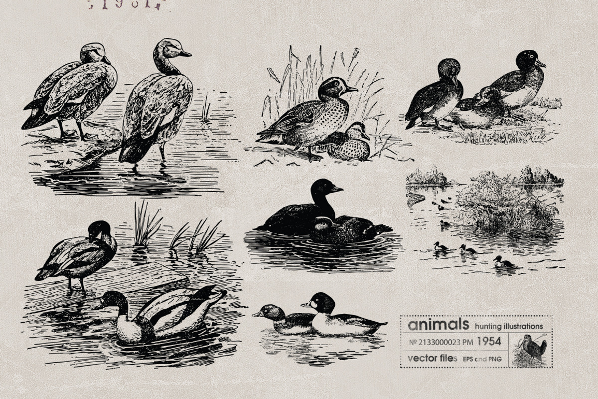 Vintage Bundle 2500+ Free Update, an Animal Illustration by Retro Machine (Photo 170 of 170)