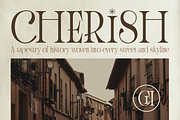 Quinressa Elegant and Luxury Font, a Serif Font by Graphue (Thumbnail 4 of 9)