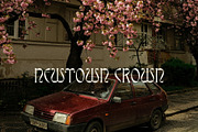 Display Font Collection, a Slab Serif Font by Tropical Type (Thumbnail 4 of 46)