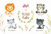 Wild Cats. Watercolor Collection, an Animal Illustration by StarJam (Thumbnail 2 of 5)