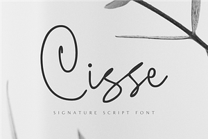 Cisse - Signature Script Font