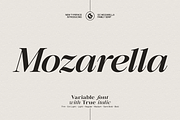 GC Mozarella–Elegant Variable Serif, a Serif Font by Glyphonic (Thumbnail 1 of 15)
