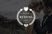 18 Wedding Logos and Badges, a Branding & Logo Template by Vasya Kobelev (Thumbnail 12 of 15)