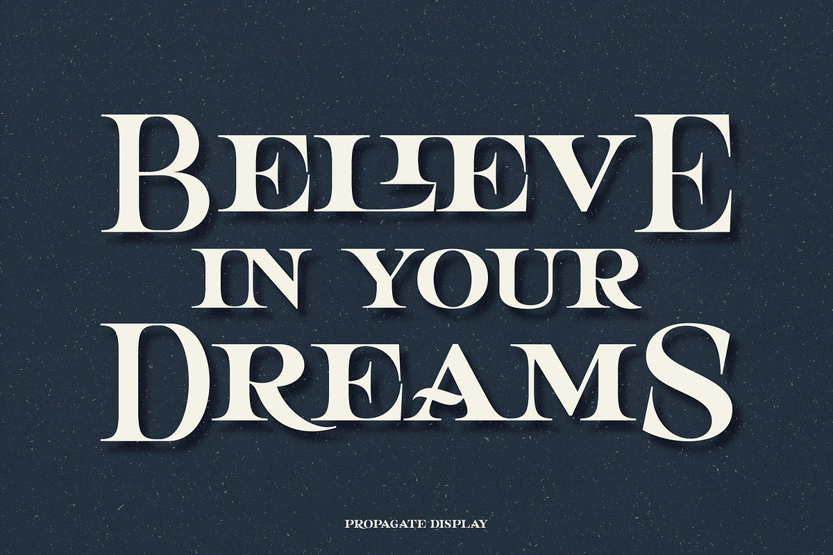 Propagate - Vintage Serif, a Sans Serif Font by Graptail (Photo 12 of 12)