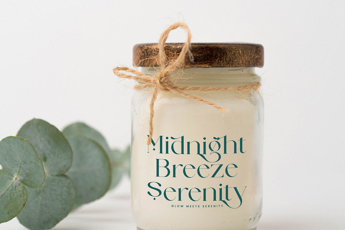 Strikes Against Modern Serif Font, a Serif Font by timelesstype.co (Photo 7 of 20)