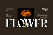 Monky Elegant Serif Font, a Serif Font by Perfectype (Thumbnail 5 of 8)