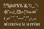 Belgina | Modern Unique Serif, a Serif Font by Typoraith Co (Thumbnail 15 of 16)