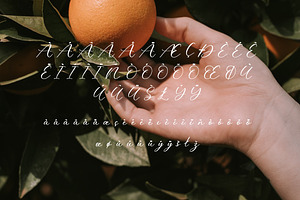 Melliovas - Modern Script Font