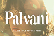 Palvani | Modern Elegant Serif Typef, a Serif Font by Artdez (Thumbnail 1 of 5)