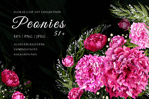 Realistic Peonies ClipArt & Patterns