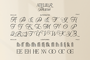 Atelier Blume - Serif & Script Font, a Script Font by agnyhasyastudio (Thumbnail 14 of 17)