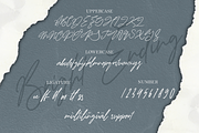 Bright Ending, a Script Font by Fachranheit Studio (Thumbnail 9 of 10)