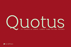 Quotus Slab Bracketed -8 Fonts-