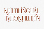 Bilifer - Modern Luxury Serif, a Serif Font by Qweera Studio (Thumbnail 12 of 12)