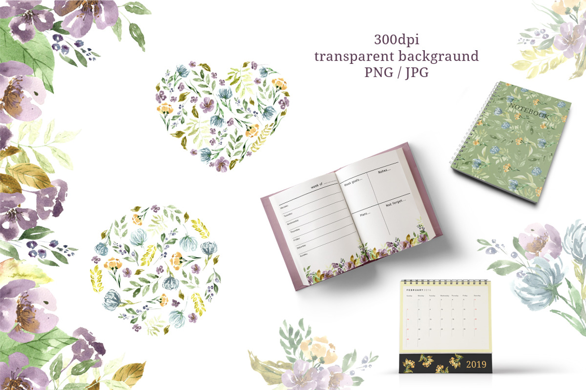 Watercolor Floral Collection, an Illustration by OlgaSerbun (Photo 6 of 8)